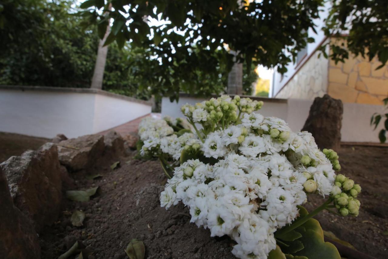 Casa Rural Tipica Andaluza, Wifi,Piscina, Barbacoa, Aire Acondicionado, 5Min Centros Alhaurín el Grande Buitenkant foto
