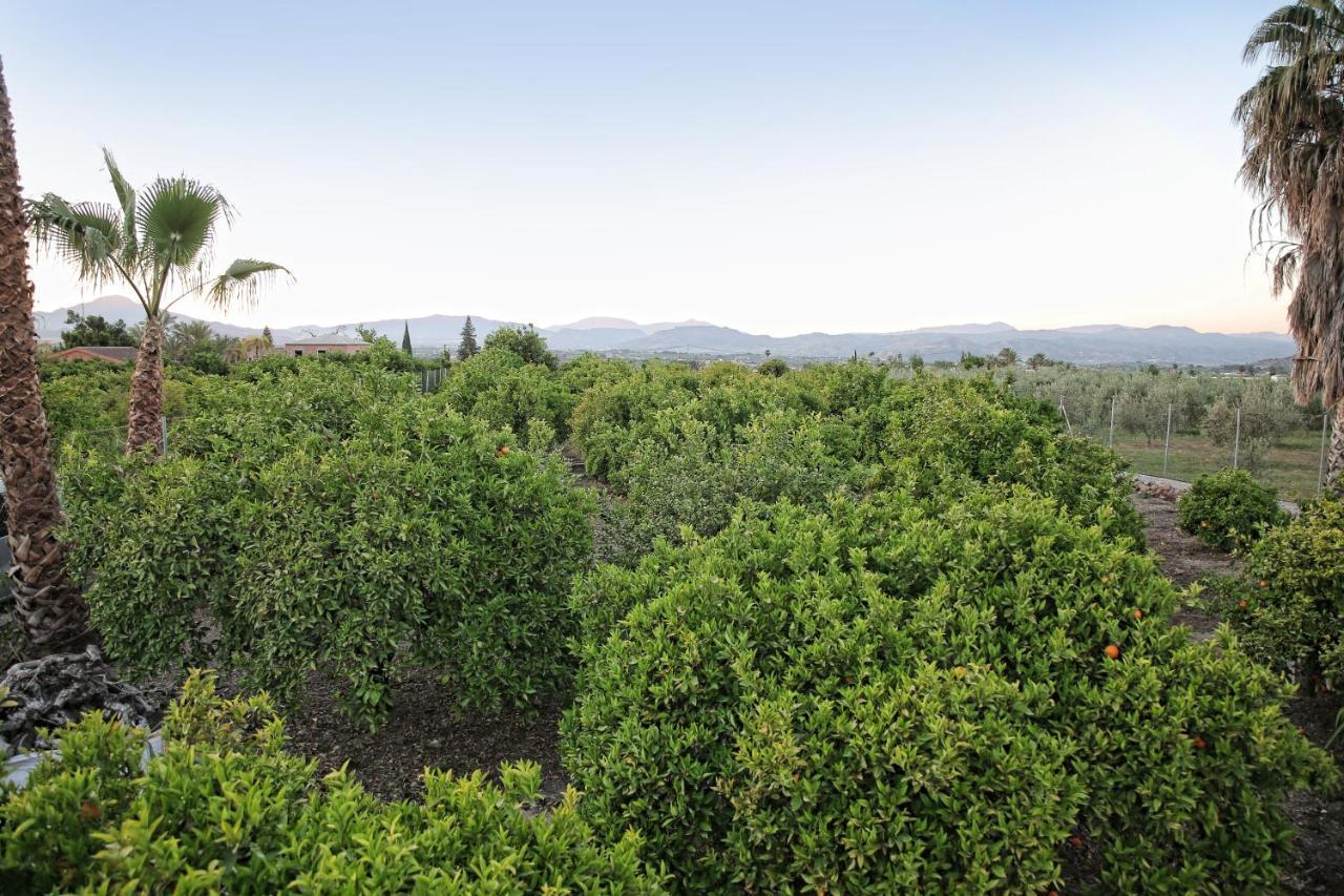 Casa Rural Tipica Andaluza, Wifi,Piscina, Barbacoa, Aire Acondicionado, 5Min Centros Alhaurín el Grande Buitenkant foto